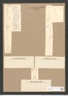 Synedra affinis var. tabulata (Ag.) V. H. (de-Toni-Nr.: Genus 66, Species 2607) Zeichnungen Sammlung Grunow Nr. 5347 (NHMW-BOT-W0373751)